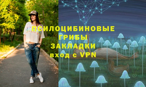 прущие грибы Осинники