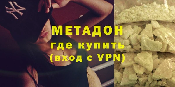 прущие грибы Осинники