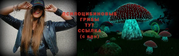 прущие грибы Осинники