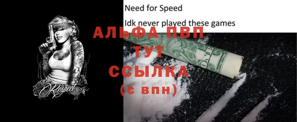 прущие грибы Осинники
