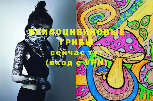 гашиш Осташков