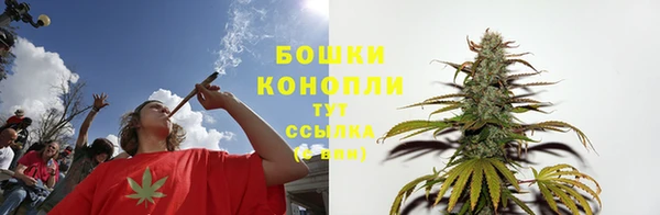 прущие грибы Осинники