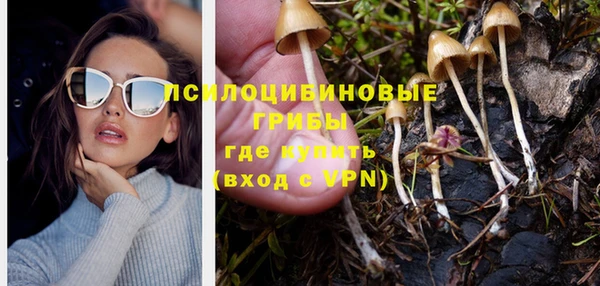 прущие грибы Осинники