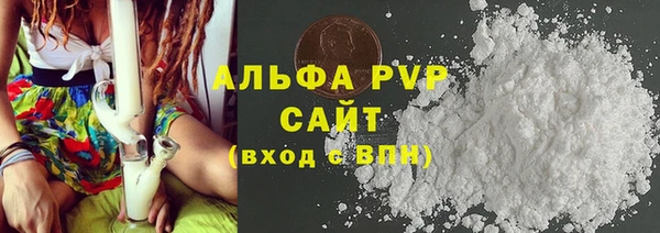 прущие грибы Осинники