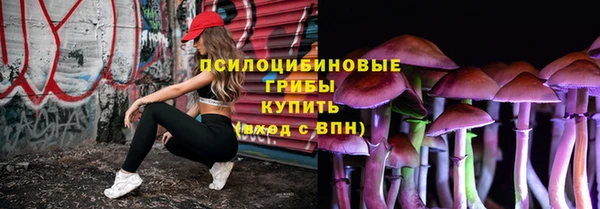 прущие грибы Осинники