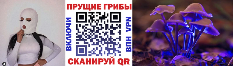 где можно купить   Солигалич  Псилоцибиновые грибы MAGIC MUSHROOMS 